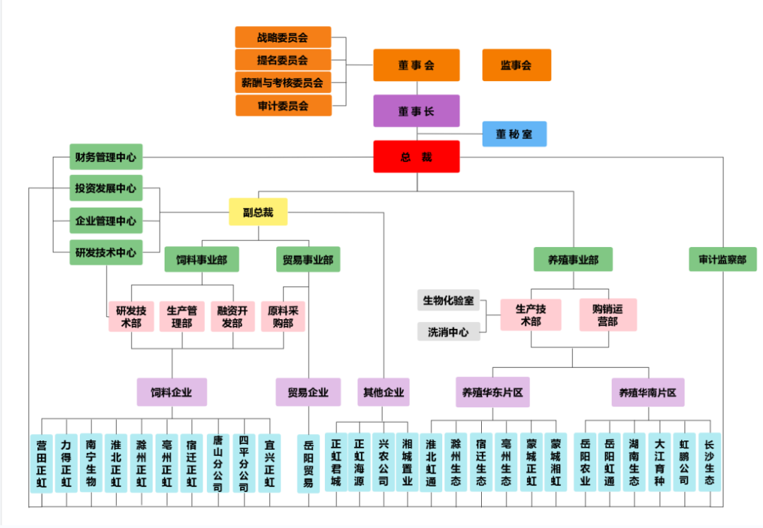 正虹11.png