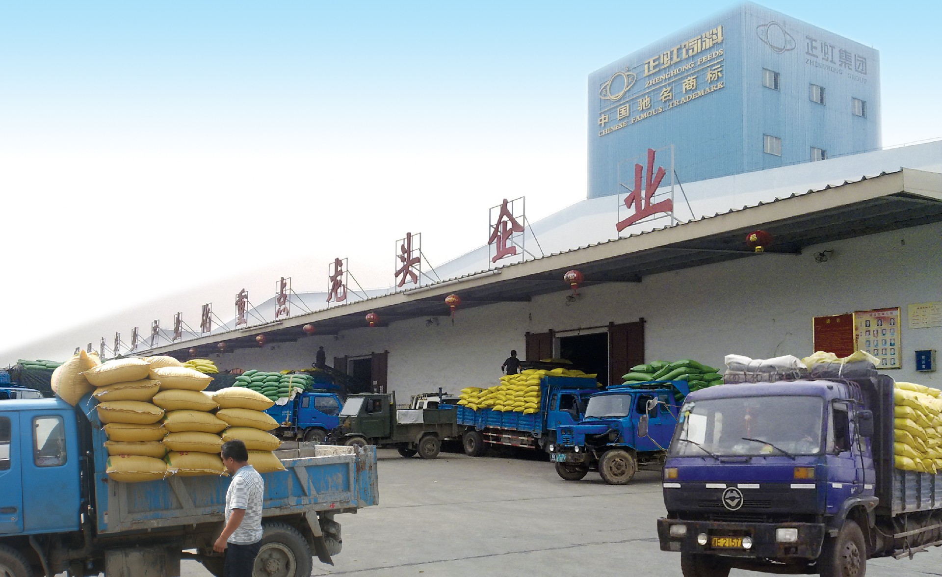 营田公司拖饲料.jpg